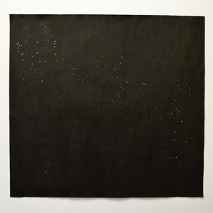 91久久精品无码一区二区会所
