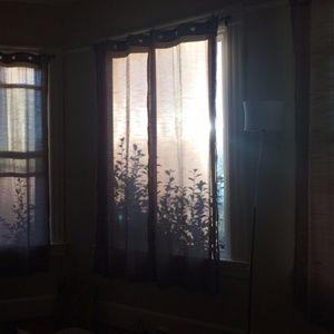 91久久精品无码一区二区会所
