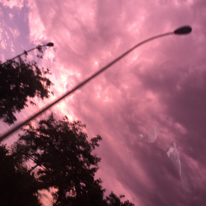 91久久精品无码一区二区会所
